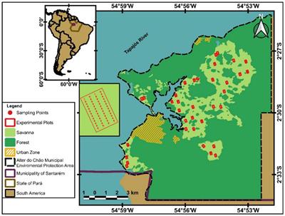 Necromys lasiurus: Lessons From a 38-Year Study in an Amazonian Savanna